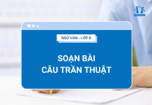 soan-bai-cau-tran-thuat