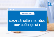 soan-bai-kiem-tra-tong-hop-cuoi-hoc-ki-1