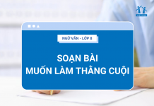 soan-bai-muon-lam-thang-cuoi