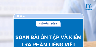 soan-bai-on-tap-va-kiem-tra-phan-tieng-viet-tap-1