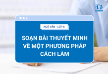 soan-bai-thuyet-minh-ve-mọt-phuong-phap-cach-lam
