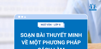 soan-bai-thuyet-minh-ve-mọt-phuong-phap-cach-lam