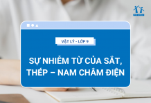 su-nhiem-tu-cua-sat-thep-nam-cham-dien