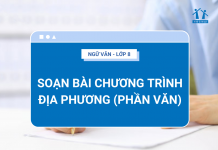 soan-bai-chuong-trinh-dia-phuong-phan-van
