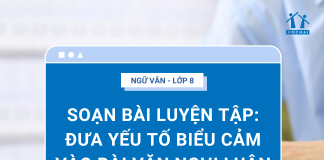 soan-bai-luyen-tap-dua-yeu-to-bieu-cam-vao-bai-van-nghi-luan