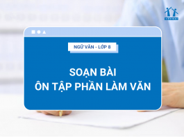 soan-bai-on-tap-phan-lam-van