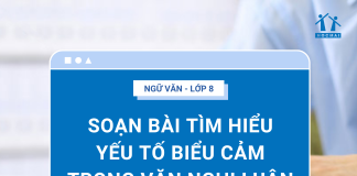 soan-bai-tim-hieu-yeu-to-bieu-cam-trong-van-nghi-luan