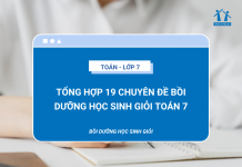 19-chuyen-de-boi-duong-hoc-sinh-gioi-toan-7