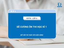 de-cuong-on-thi-hoc-ki-1-khtn-6-ket-noi-tri-thuc