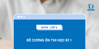 de-cuong-on-thi-hoc-ki-1-khtn-6-ket-noi-tri-thuc