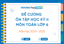 Đề cương ôn tập Học kỳ II toán lớp 6