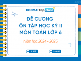 Đề cương ôn tập Học kỳ II toán lớp 6